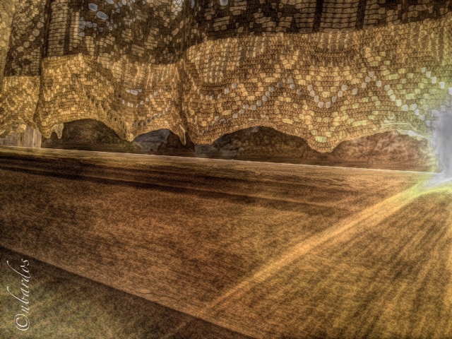 Lace Curtain Sunrise