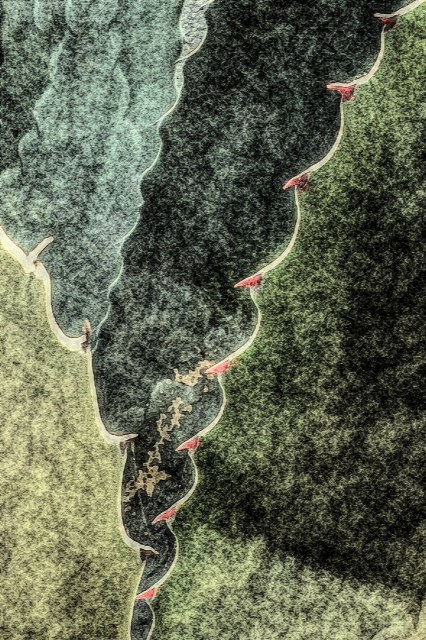 THORN in MY SIDE Beauty in the eye of the beholder